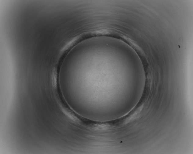 X0000115510446200911061400