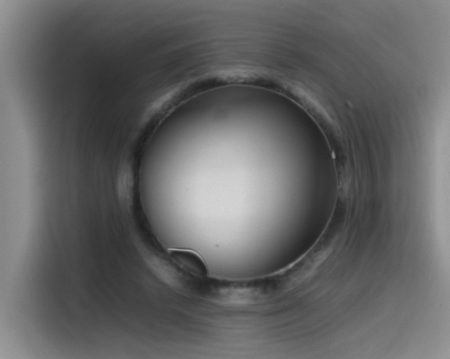 X0000115510448200911061400