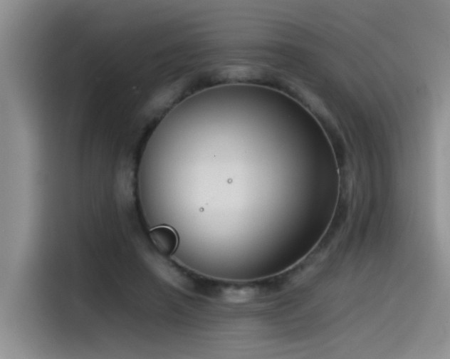 X0000115510450200911061400