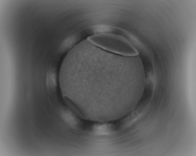 X0000115510452200911061400