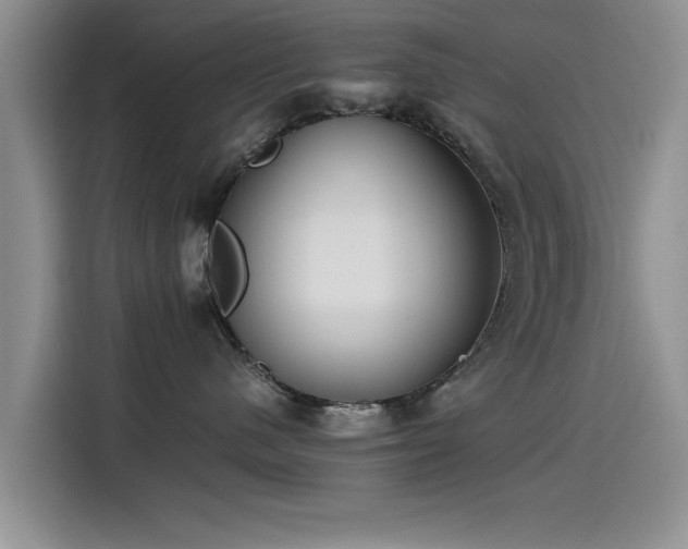 X0000115510480200911061400