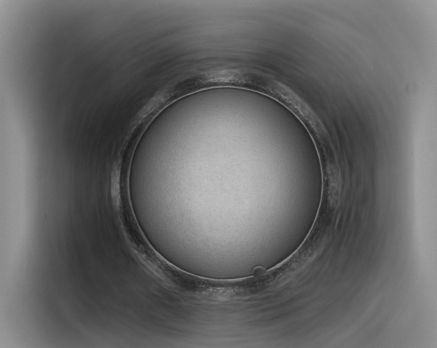 X0000115510482200911061359