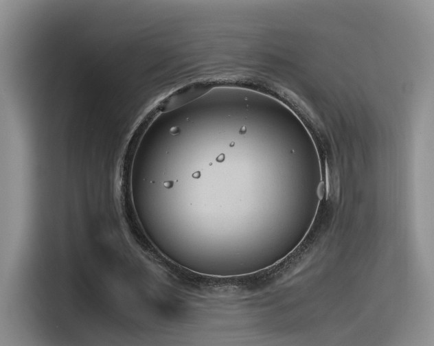 X0000115510483200911061359