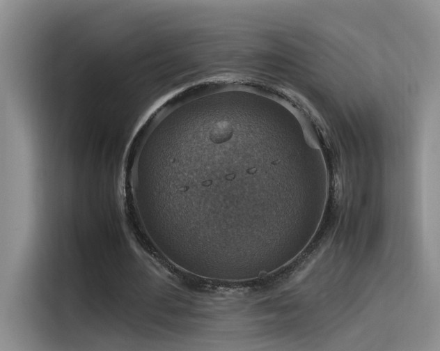 X0000115510484200911061359