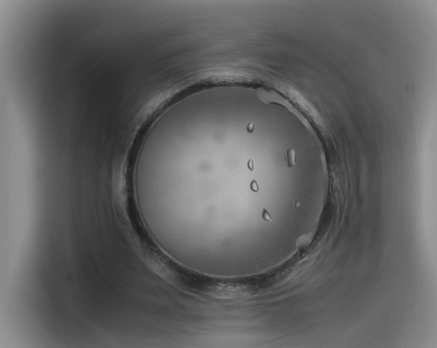 X0000115510487200911061359