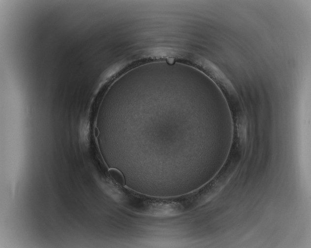 X0000115510488200911061359