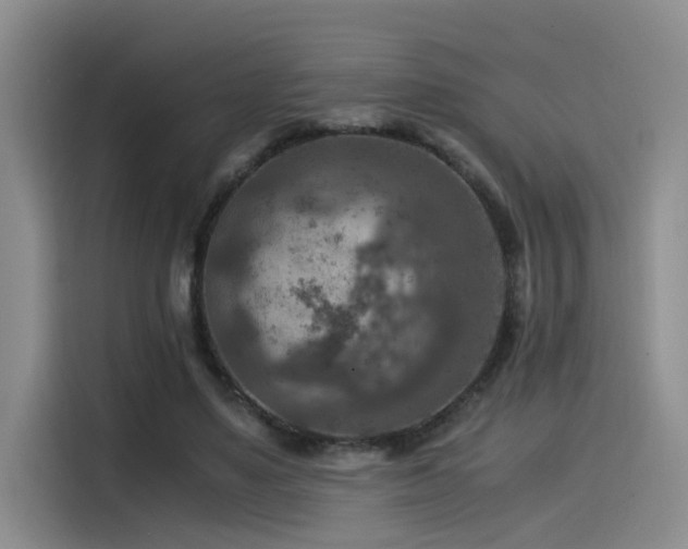 X0000115510491200911061359