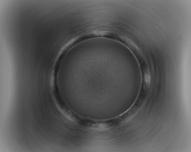X0000115510492200911061359