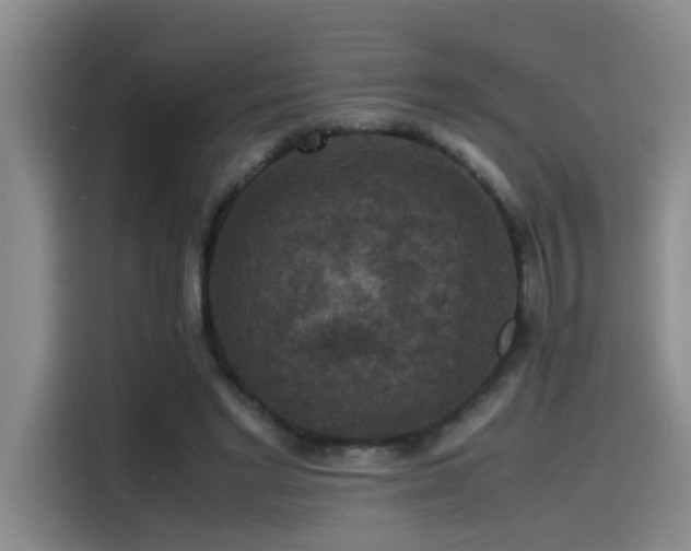 X0000115510493200911061359