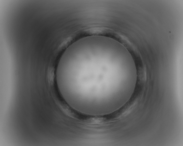 X0000115510495200911061359