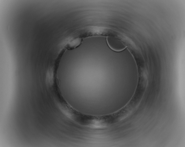 X0000115510496200911061359