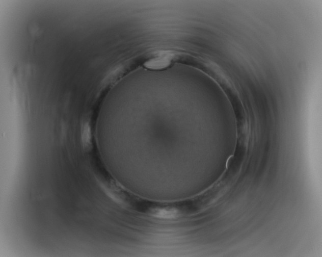 X0000115510500200911061359