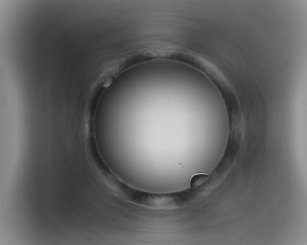 X0000115510501200911061359