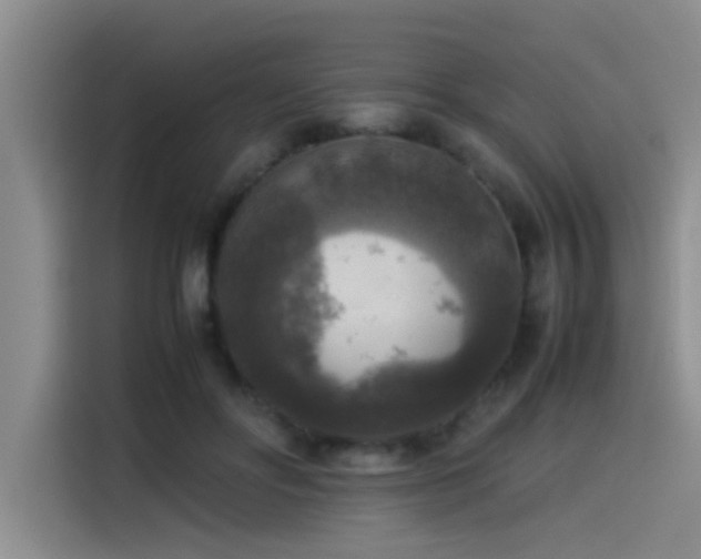 X0000115510502200911061359