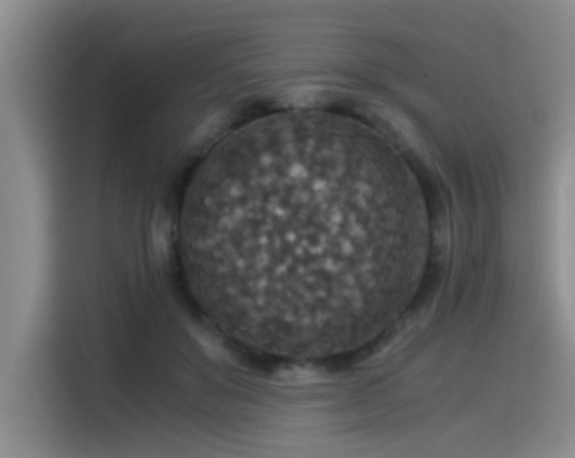 X0000115510503200911061359