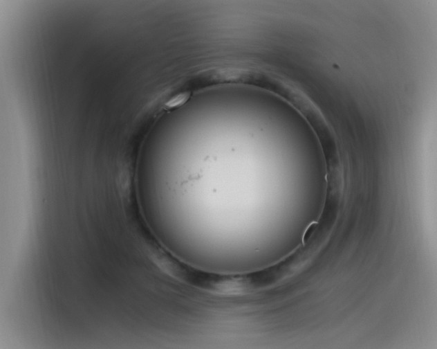 X0000115510505200911061359