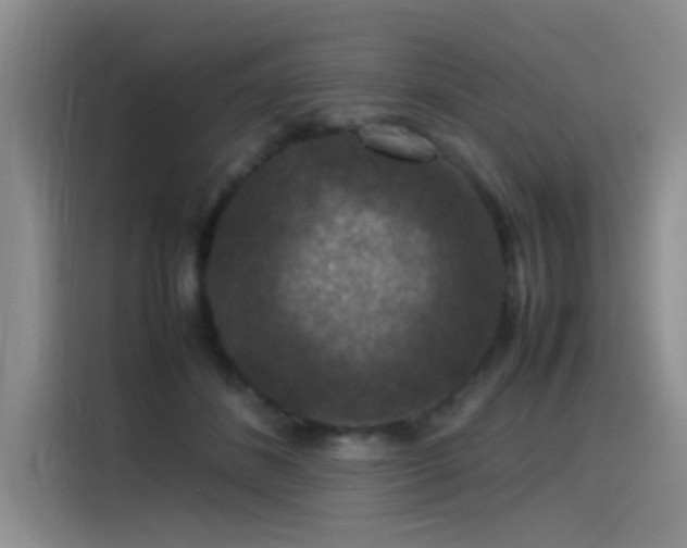 X0000115510508200911061359