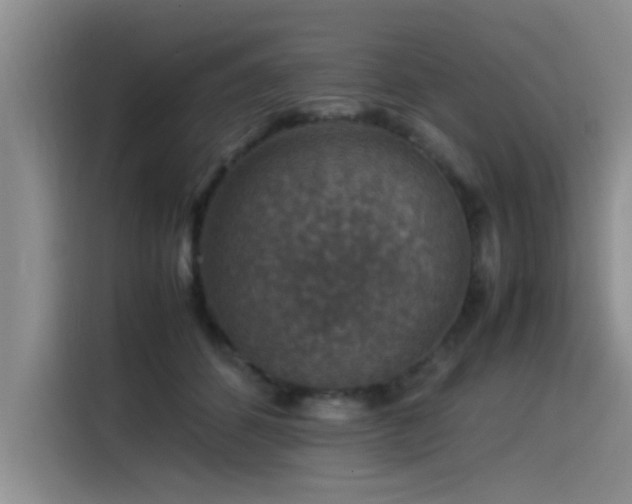 X0000115510512200911061359