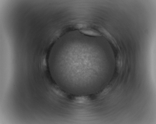 X0000115510516200911061359