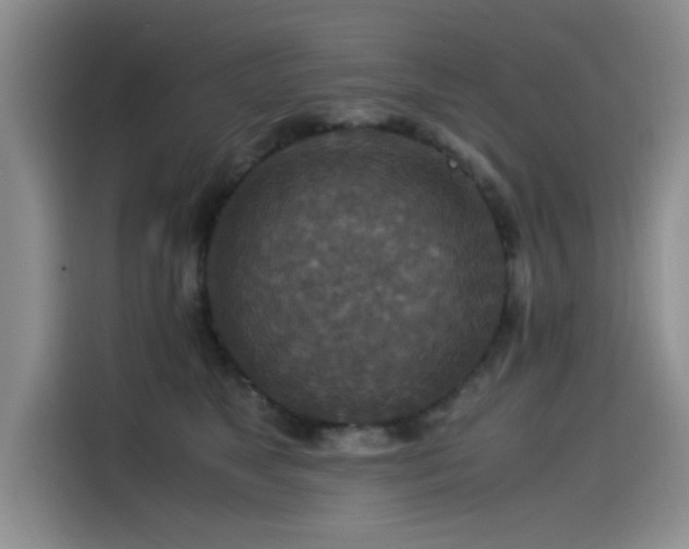 X0000115510517200911061359