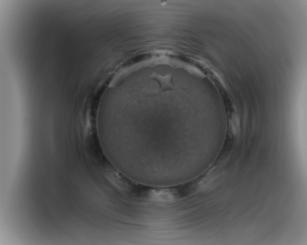 X0000115510520200911061359