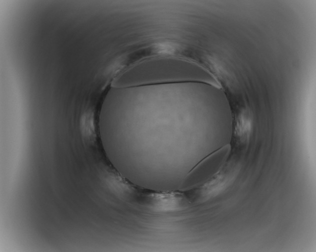 X0000115510524200911061359