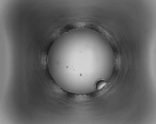 X0000115510525200911061359