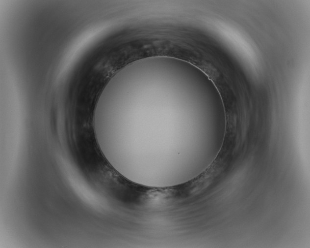 X0000115510526200911061359