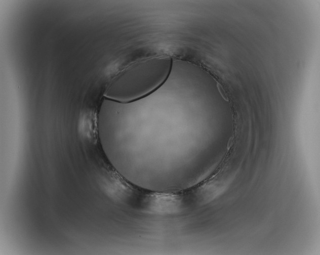 X0000115510528200911061359