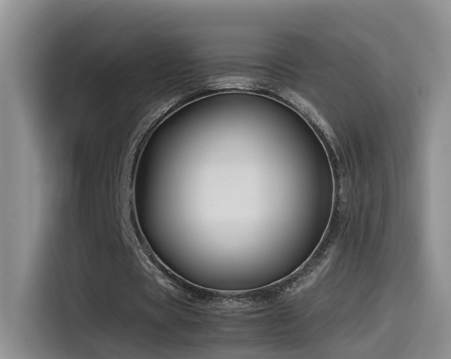 X0000115510529200911061358