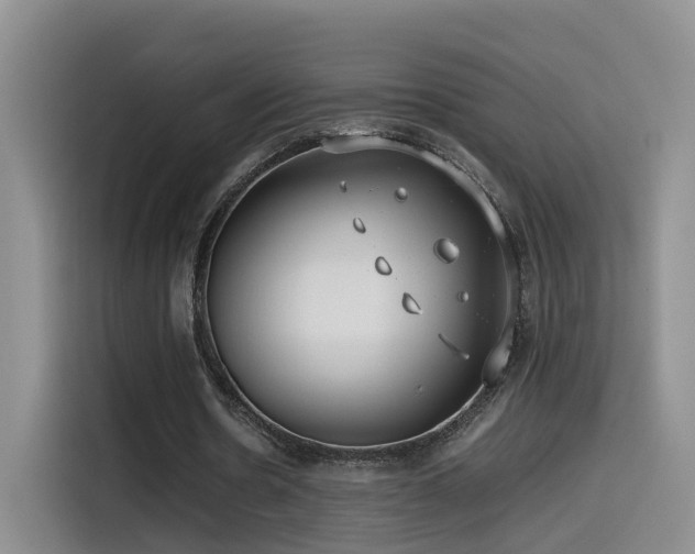 X0000115510530200911061358
