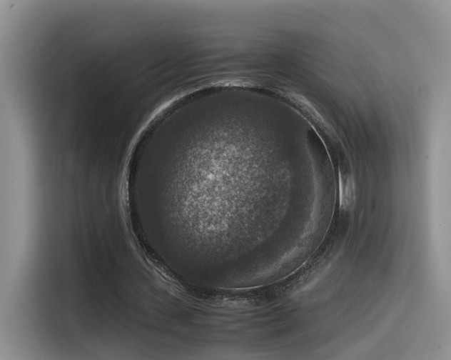 X0000115510531200911061358