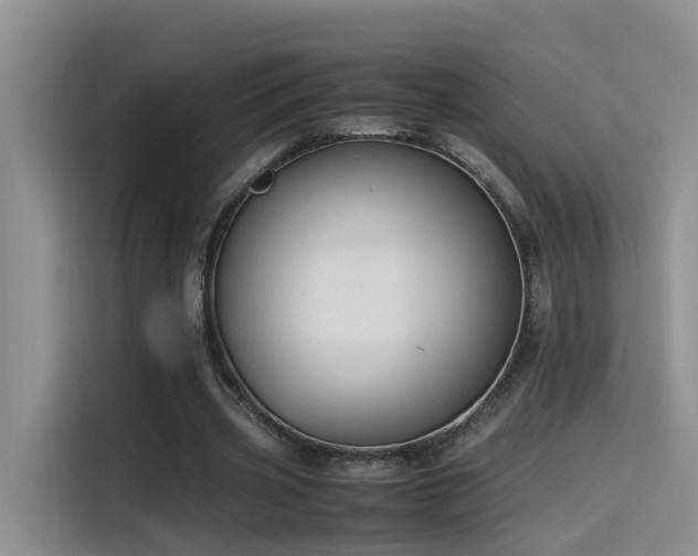 X0000115510533200911061358