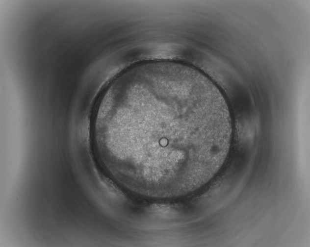 X0000115510534200911061358