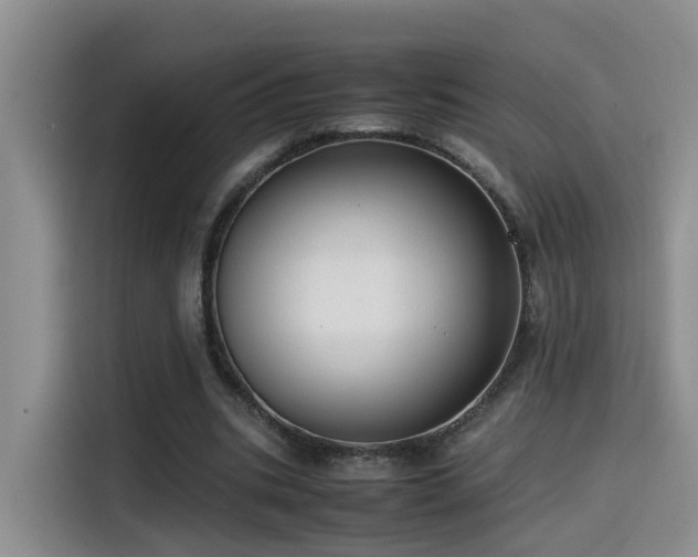 X0000115510535200911061358