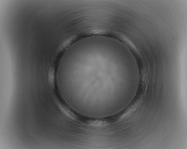 X0000115510542200911061358