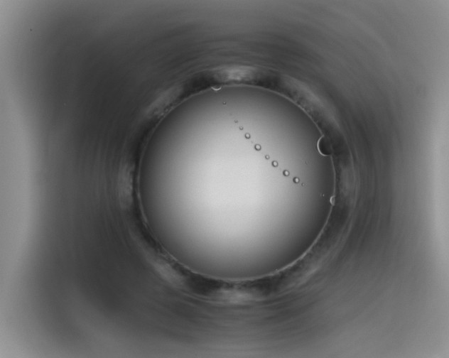 X0000115510545200911061358