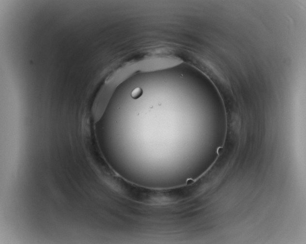 X0000115510547200911061358