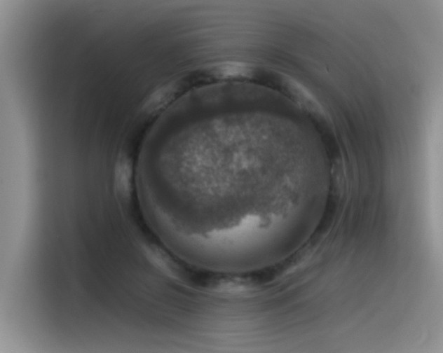 X0000115510550200911061358