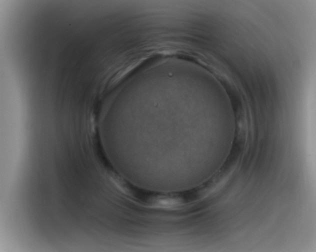 X0000115510555200911061358