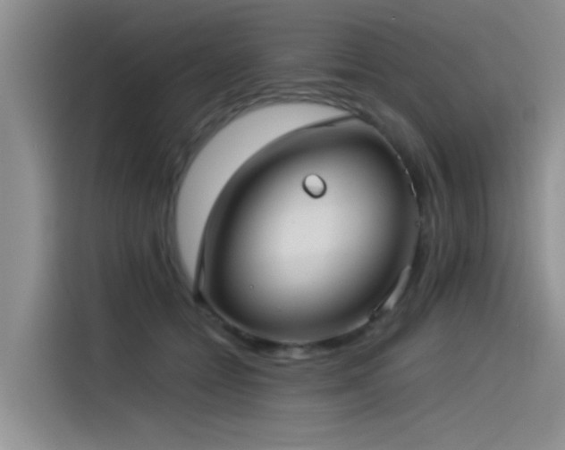 X0000115510558200911061358