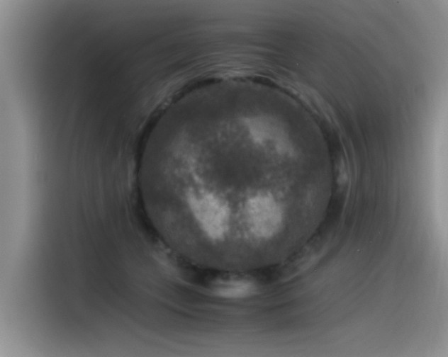 X0000115510559200911061358