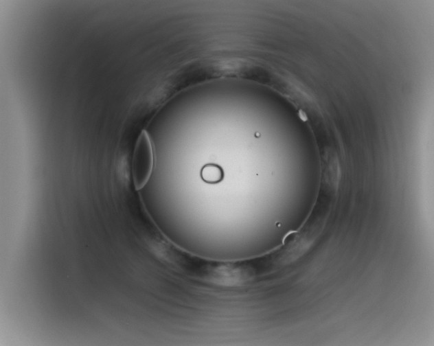 X0000115510562200911061359