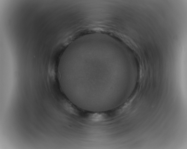 X0000115510566200911061359