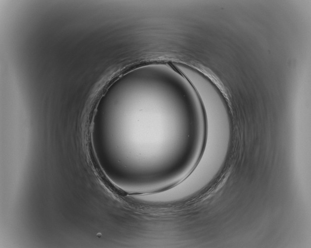 X0000115510577200911061358