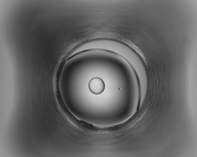 X0000115510581200911061358