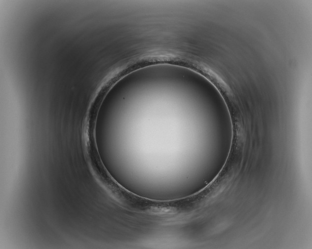 X0000115510582200911061358