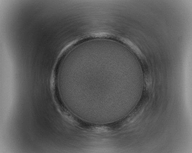 X0000115510583200911061358