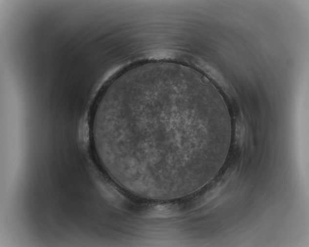 X0000115510584200911061358