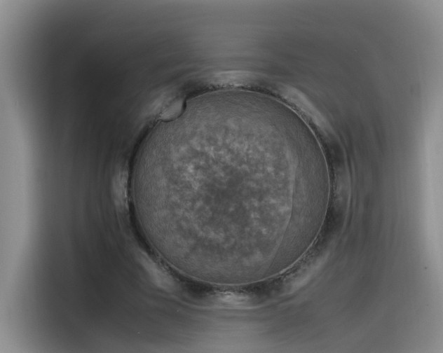 X0000115510585200911061358
